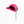 Laster bildet til gallerivisning, Armstrong 5 Panel Water Cap - Signal Pink
