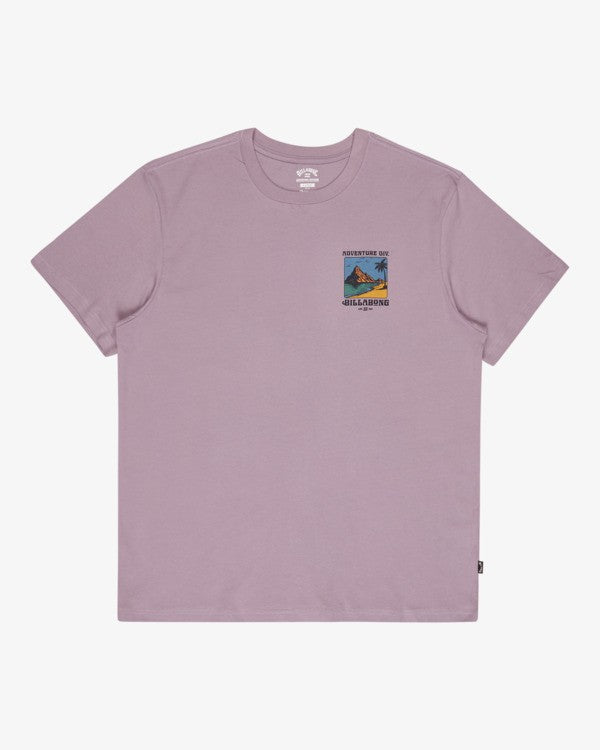 Billabong Post Cards T-shirt - Purple Ash