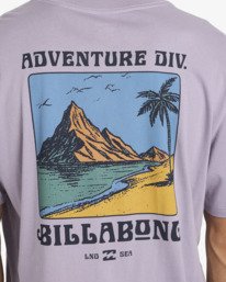 Billabong Post Cards T-shirt - Purple Ash