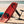 Laster bildet til gallerivisning, F-One Rocket Wing CarbonWingfoil - FoilbrettFluid.no
