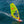 Laster bildet til gallerivisning, Goya Mark Freerace seilWindsurfing &gt; SeilFluid.no
